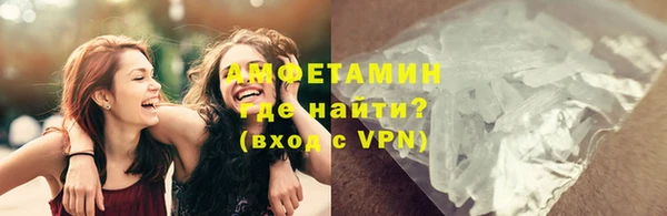 прущие грибы Арсеньев