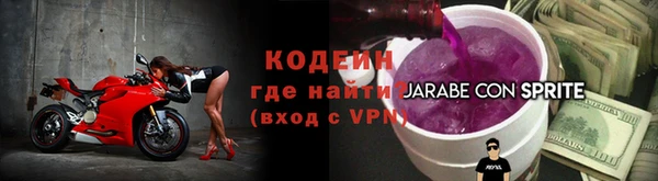 прущие грибы Арсеньев